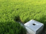 南財學子暑期三下鄉(xiāng)實踐活動：河暢水清岸綠景美