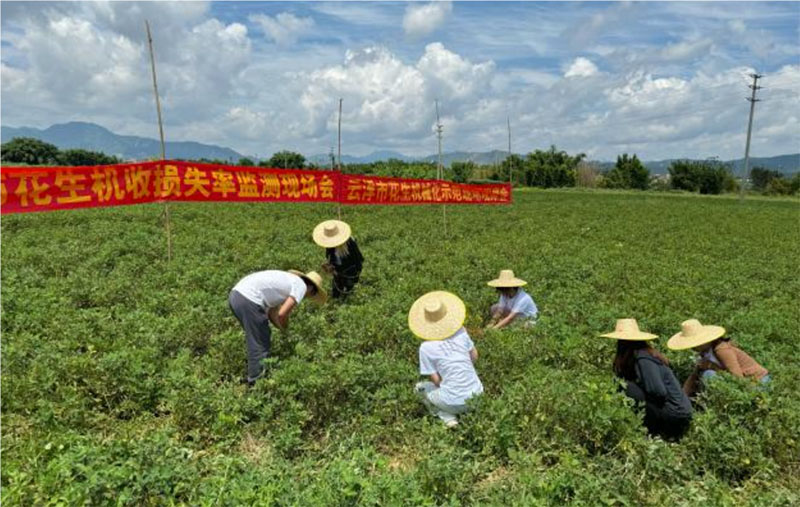 廣東羅定：大學(xué)生暑期實(shí)踐團(tuán)，齊心獻(xiàn)力鄉(xiāng)村振興建設(shè)