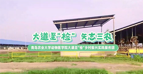 大道至簡，三農(nóng)情牽：青島農(nóng)業(yè)大學(xué)動(dòng)物醫(yī)學(xué)院鄉(xiāng)村振興實(shí)踐服務(wù)團(tuán)走訪養(yǎng)殖天地