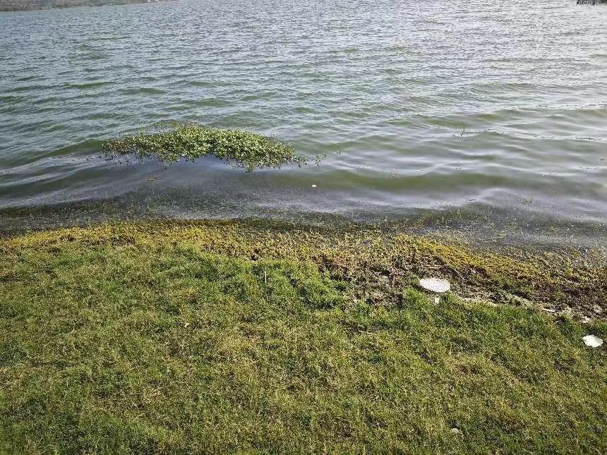 藍(lán)碳觀海實踐隊：海洋保護(hù)行動