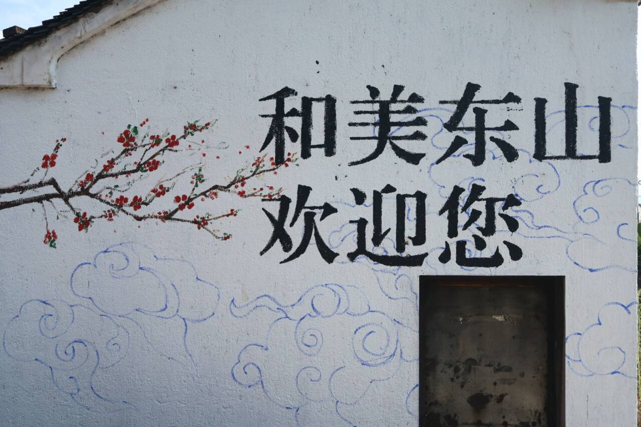 踐行黨的二十屆三中全會精神，青年先鋒助力建設和美鄉(xiāng)村