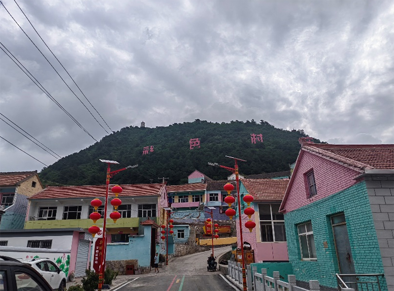 七彩村莊煥發(fā)新生機(jī)，連翹產(chǎn)業(yè)助力鄉(xiāng)村振興