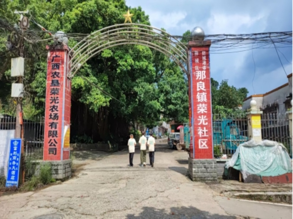 街巷間的民生課堂——桂工學(xué)子“三下鄉(xiāng)”活動側(cè)記