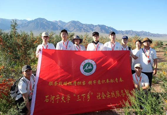 三下鄉(xiāng)科技支農(nóng)：深入摸排沙棘生長，推動(dòng)收獲機(jī)再升級(jí)