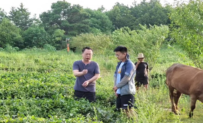 筆耕鄉(xiāng)土察民情，躬身入局謀振興