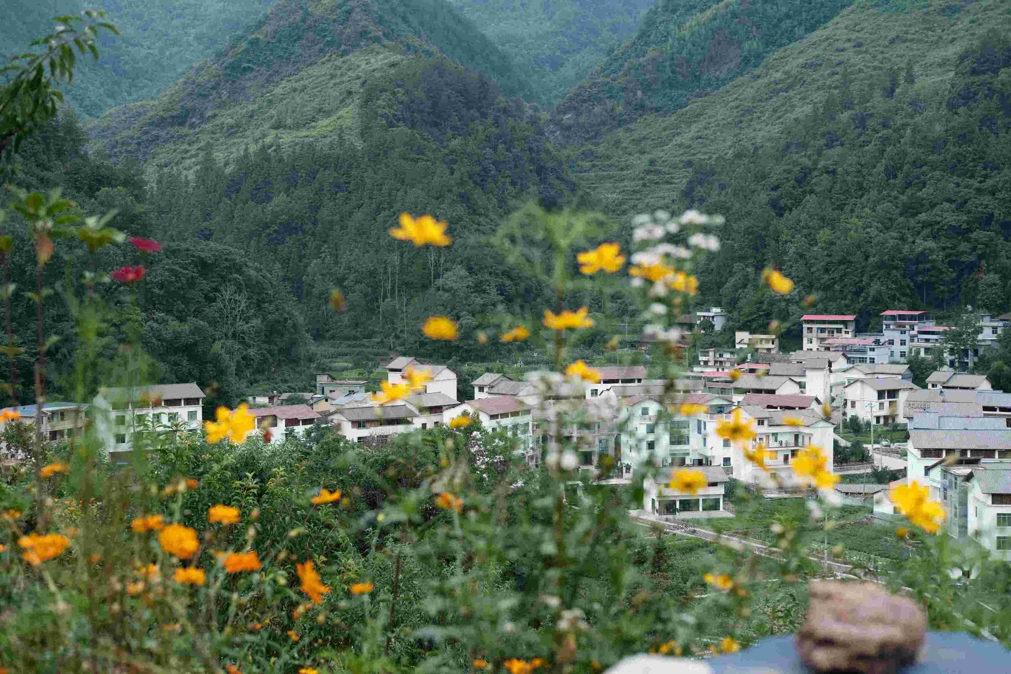 探索生物多樣性新路徑，共繪鄉(xiāng)村振興與可持續(xù)發(fā)展新畫(huà)卷  ——記重慶師范大學(xué)生命科學(xué)學(xué)院“耕培啟潤(rùn)”團(tuán)隊(duì)酉陽(yáng)之旅