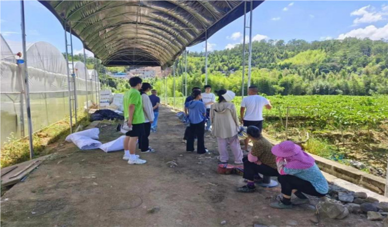 情系百香果，共筑夢想園