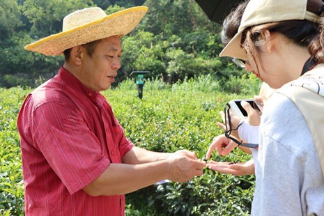 佛山科學(xué)技術(shù)學(xué)院學(xué)子三下鄉(xiāng)：走入連南茶園，助力民族發(fā)展