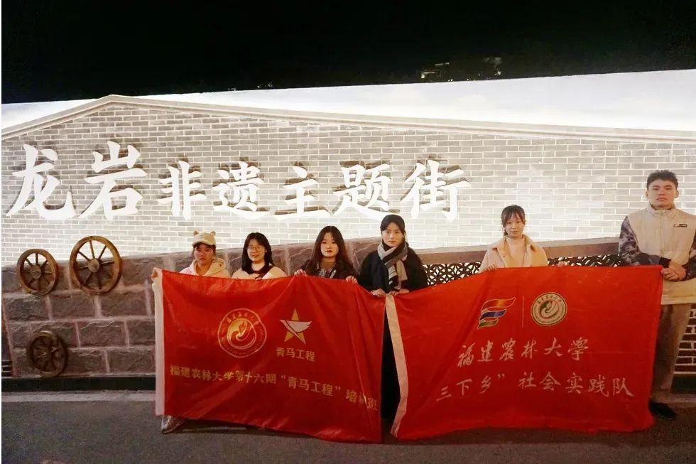 龍巖非遺文化展春節(jié)啟幕，青年學(xué)子助力文化傳承