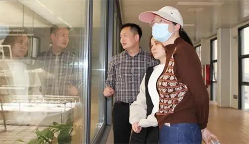 探秘“豆”文化——鄭州市金水區(qū)四月天小學(xué)社會實踐活