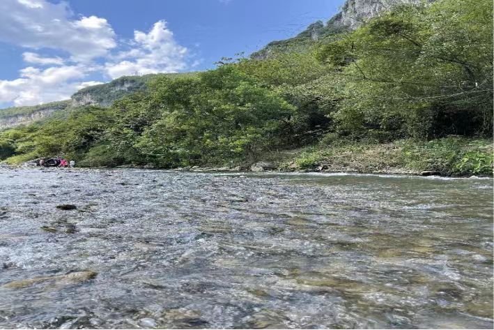 意氣風發(fā)擔使命 勇毅前行向高攀