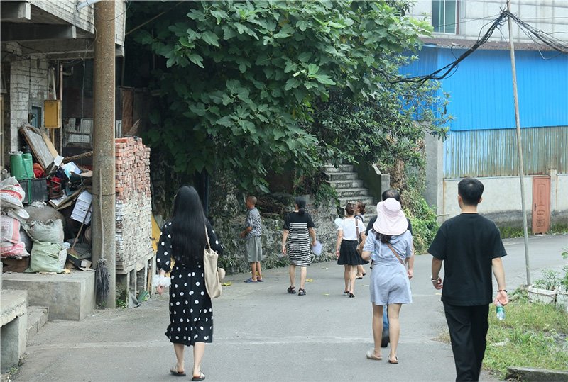 杉木樹下話振興，德田村頭繪新景——西財學子三下鄉(xiāng)調(diào)研紀實