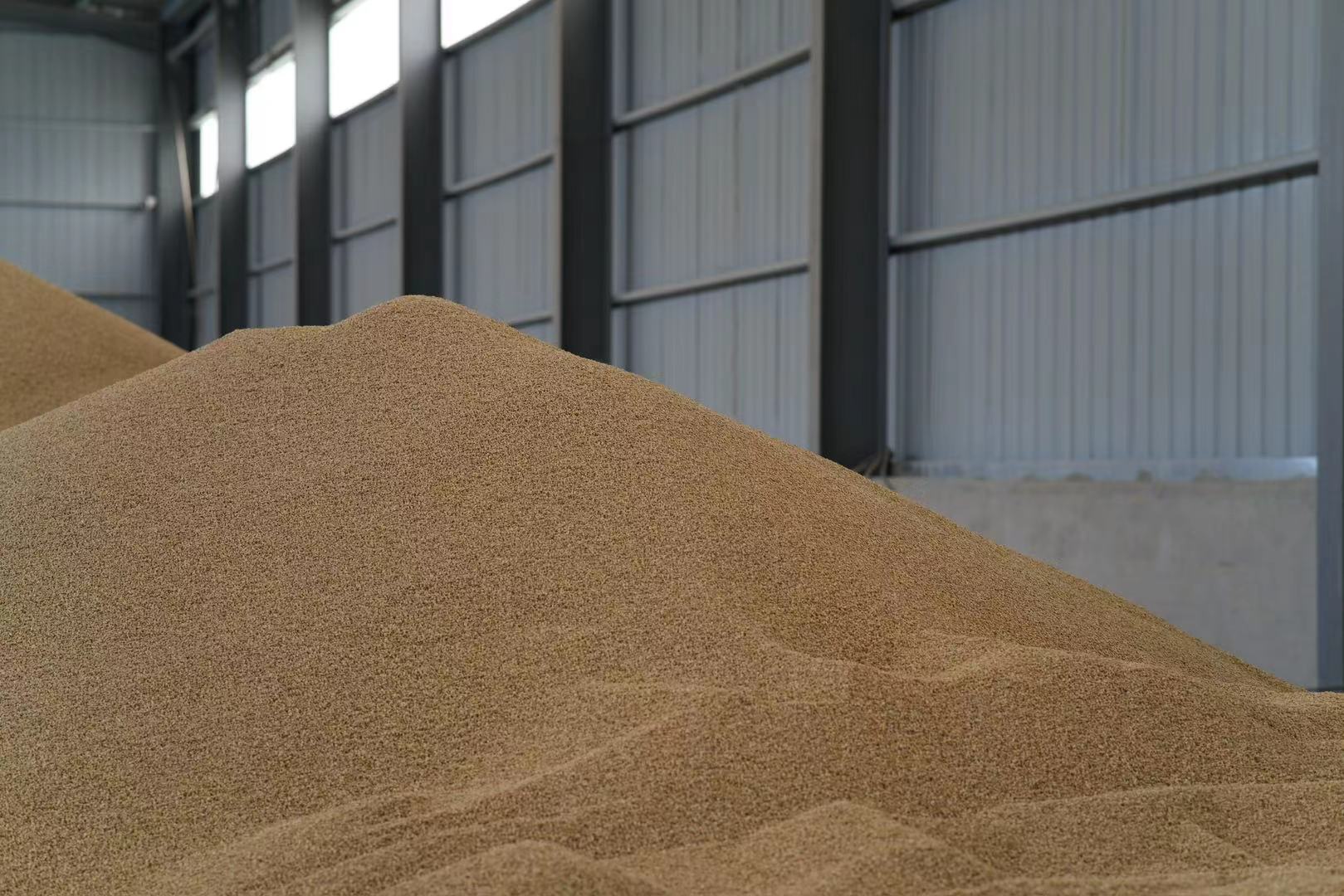 走進小麥加工基地，感受糧食的珍貴與科技的魅力