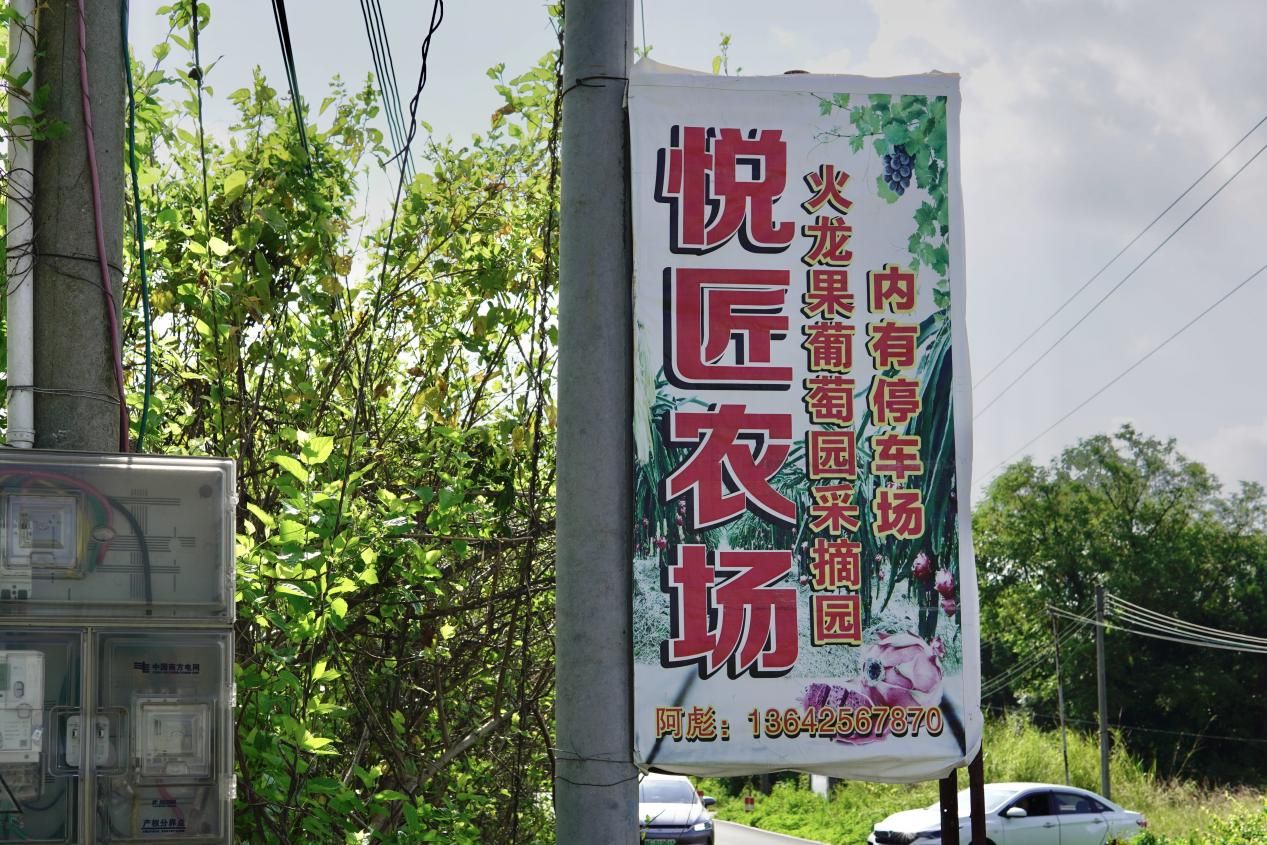 【百千萬工程 助力鄉(xiāng)春】挖掘西河農業(yè)特色，探尋產業(yè)發(fā)展脈絡