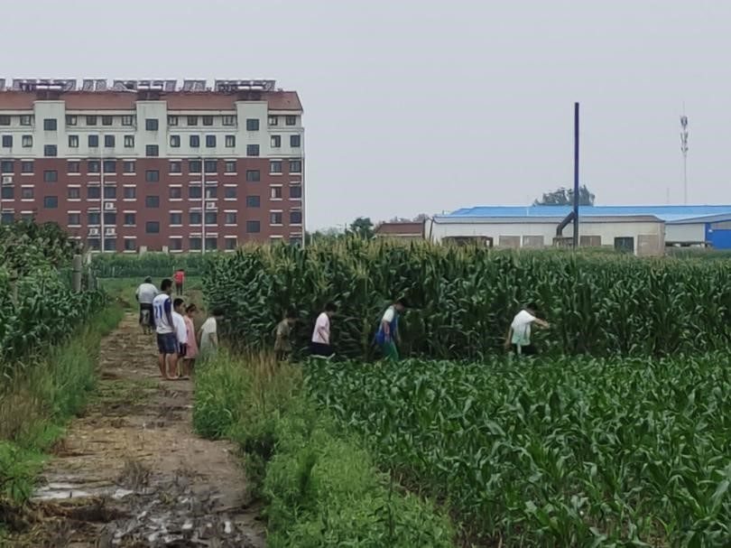 曲園學子三下鄉(xiāng)：深入基層社區(qū)，調(diào)研社區(qū)消防