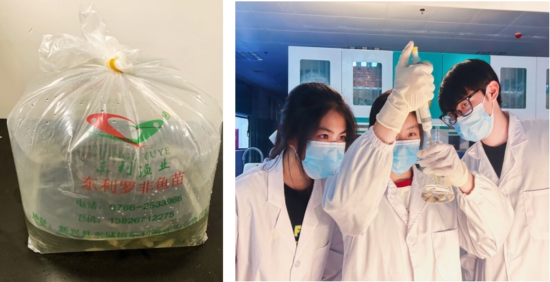 佛大學子智慧啟航 科技賦能都斛漁業(yè)
