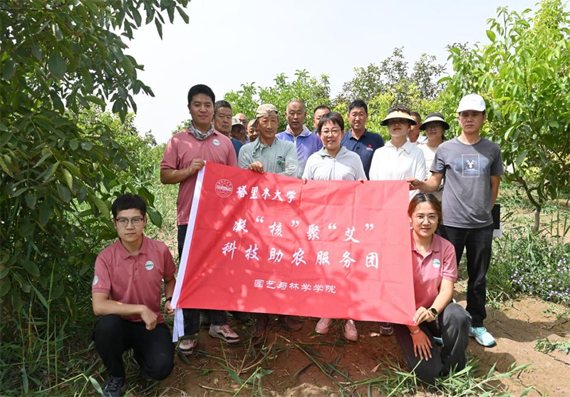 解決果農(nóng)問題，助力核桃產(chǎn)業(yè)