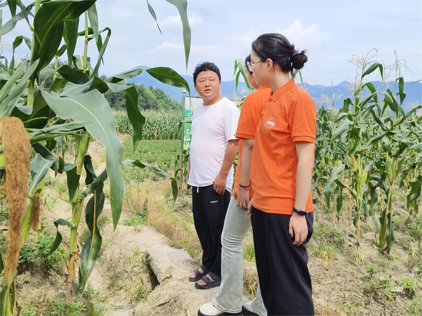 合肥工業(yè)大學學子三下鄉(xiāng)：長安宜居夢，和美鄉(xiāng)村興