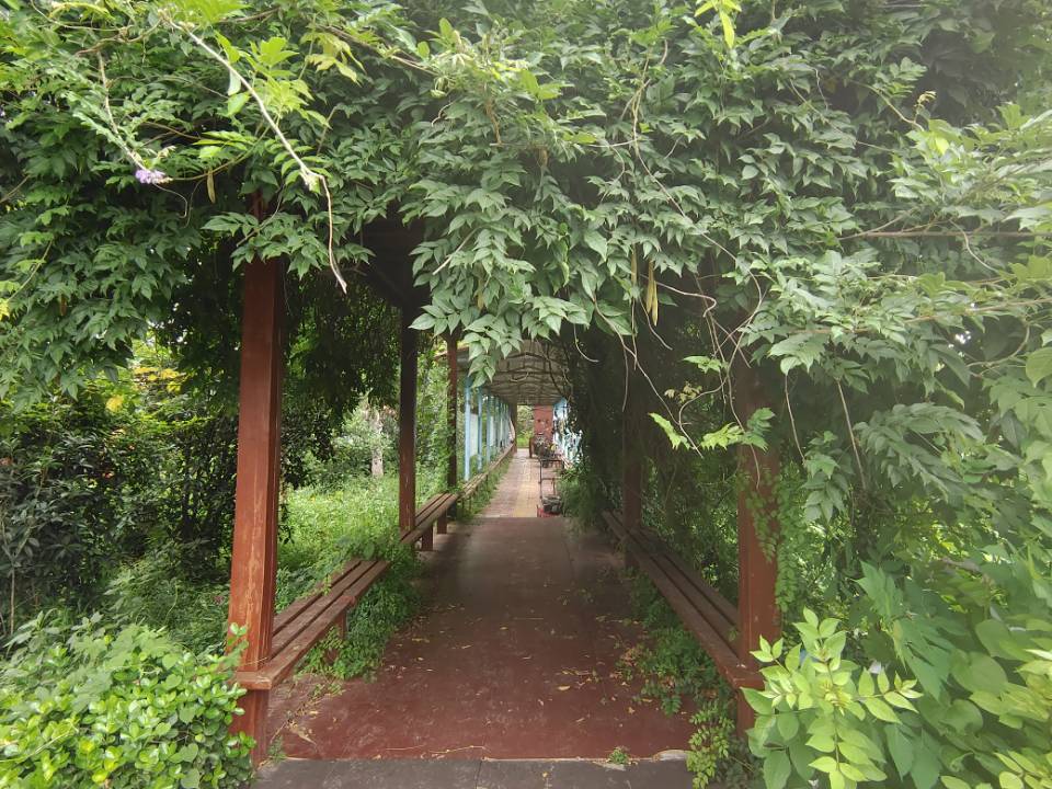 "青春的奉獻(xiàn)：李順雨同學(xué)暑期支教夢(mèng)，點(diǎn)燃母校東方寄宿學(xué)校學(xué)子心"