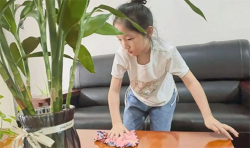 合肥中銳學(xué)校：參與社會實踐 禮贊偉大祖國